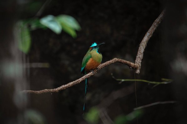 Les événements marquants de l'année dans le domaine des affaires